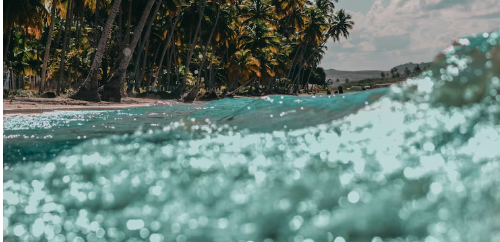 Descubra as Maravilhas das Praias de Santos: Um Guia Completo dos Sete Trechos