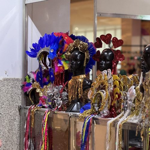 Foliões encontram tudo em um só lugar na Cidade Seu Carnaval