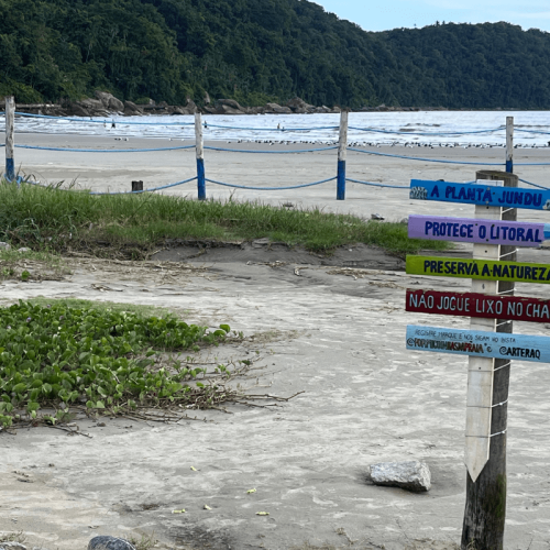 “Jundu: o guardião natural das praias de Praia Grande contra a erosão”