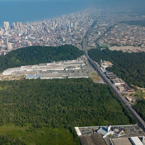Justiça interfere na preservação da Mata Atlântica no CT do Santos em Praia Grande