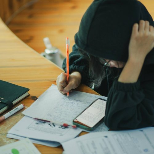 Os efeitos da pesquisa cerebral transcendem a simples aquisição de conhecimento