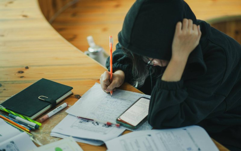 Os efeitos da pesquisa cerebral transcendem a simples aquisição de conhecimento