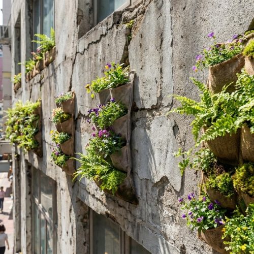 Turquia revela adesivo inovador que transforma paredes em jardins, revolucionando o conceito de cidades sustentáveis