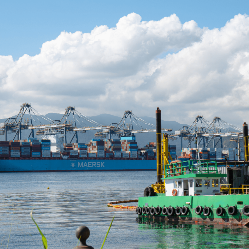 Após uma década e meia, a dragagem do Porto de Santos finalmente ganhará vida?