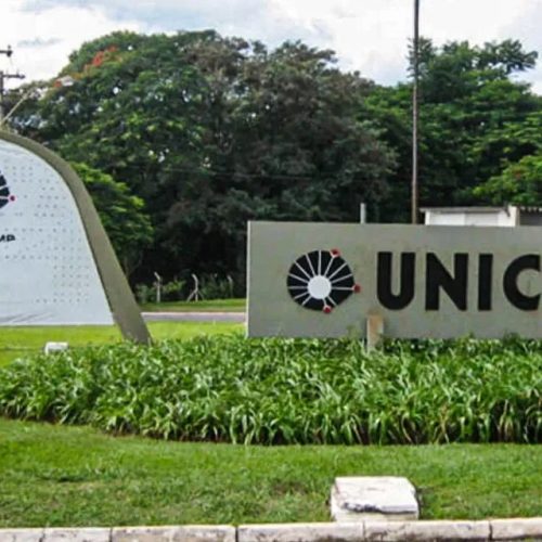 Fuvest, Unicamp e Unesp disponibilizam materiais gratuitos que destacam os principais temas das provas
