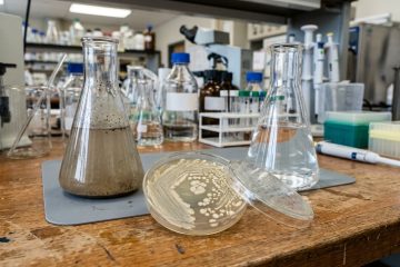 Bactérias de mina de urânio revelam potencial para remover até 96% de contaminantes radioativos da água.