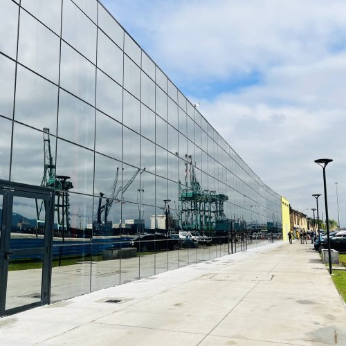 Parque Valongo: da tristeza sem abrigo à euforia da mobilização