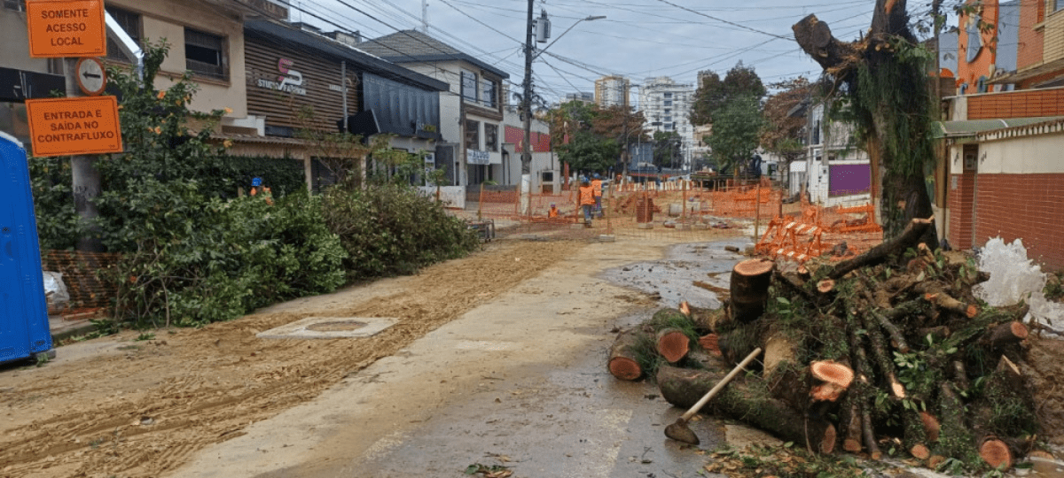 Onde foram parar as árvores? Projeto de 1 km promete transformar o bairro da Aparecida