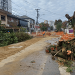 Onde foram parar as árvores? Projeto de 1 km promete transformar o bairro da Aparecida