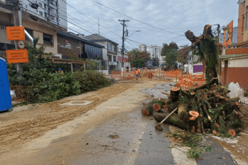 Onde foram parar as árvores? Projeto de 1 km promete transformar o bairro da Aparecida