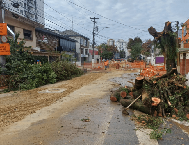 Onde foram parar as árvores? Projeto de 1 km promete transformar o bairro da Aparecida
