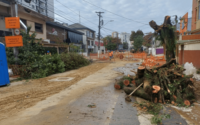 Onde foram parar as árvores? Projeto de 1 km promete transformar o bairro da Aparecida