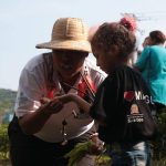 Santos oferece inscrições gratuitas para curso de monitoramento ambiental