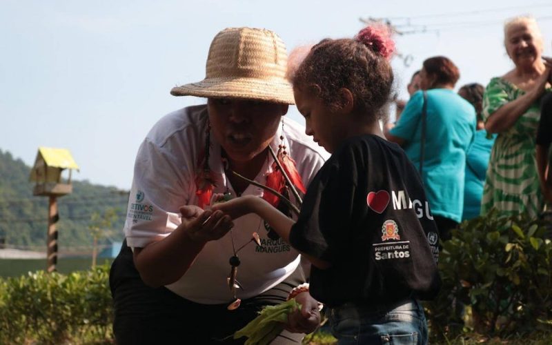 Santos oferece inscrições gratuitas para curso de monitoramento ambiental