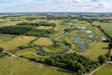 Após 5 anos sem cultivo, fazenda de 617 hectares adquirida em 2021 registra crescimento de 108% na biodiversidade.