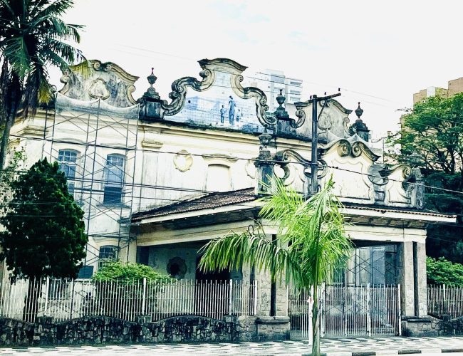 Escolástica Rosa: O Elefante Branco que Encanta a Orla Santista