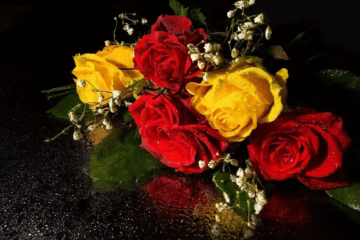 Flores para Celebrar Nossa Senhora Aparecida: Dicas de Homenagens Florais