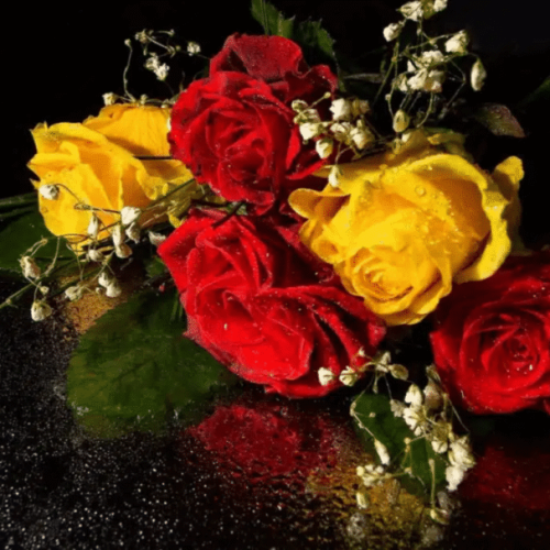 Flores para Celebrar Nossa Senhora Aparecida: Dicas de Homenagens Florais
