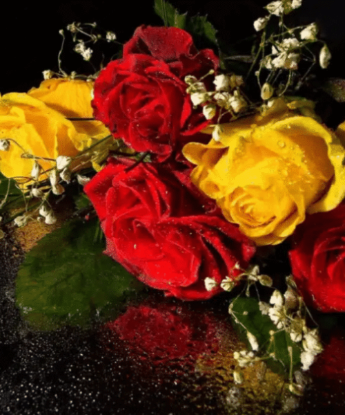 Flores para Celebrar Nossa Senhora Aparecida: Dicas de Homenagens Florais